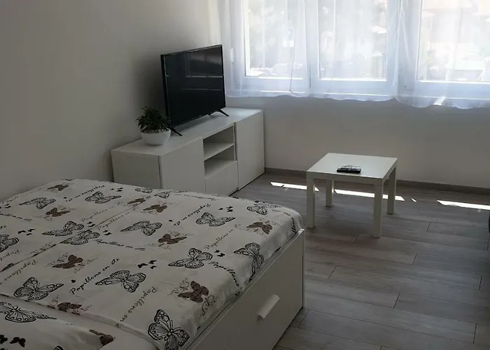 호텔 Boutique Joyce 풀라